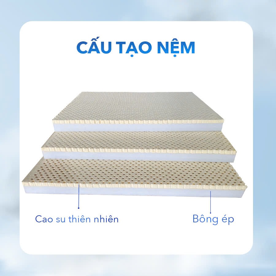 Nệm Cao Su Bông Ép Happy Home Cloud-2